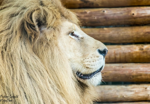 Filmtierpark Eschede - Dieses Album anzeigen Filmtierpark Eschede